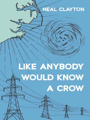 cover image of Like Anybody Would Know a Crow